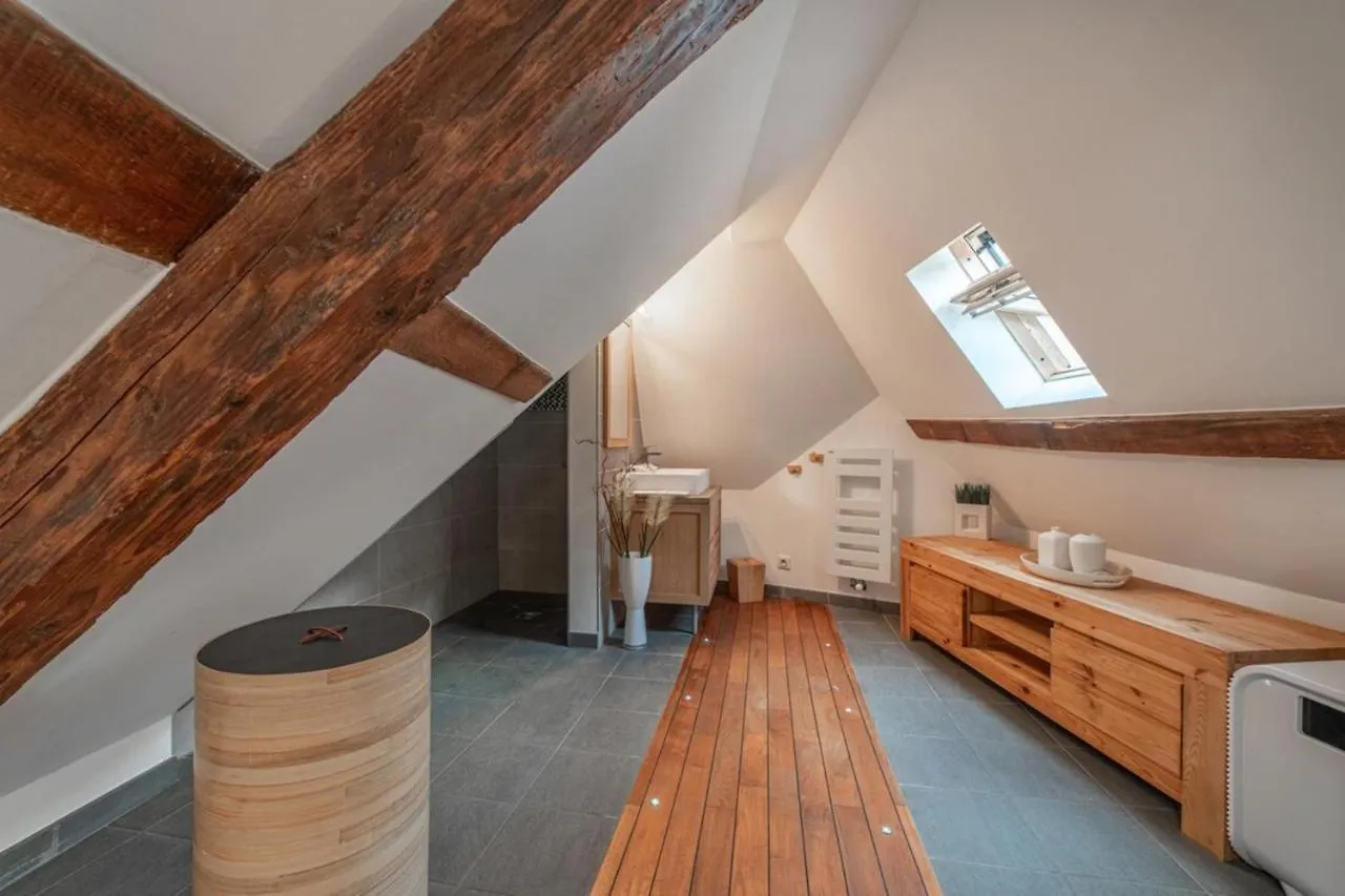 Escale Annecienne Furnished Flat Apartment Annecy France